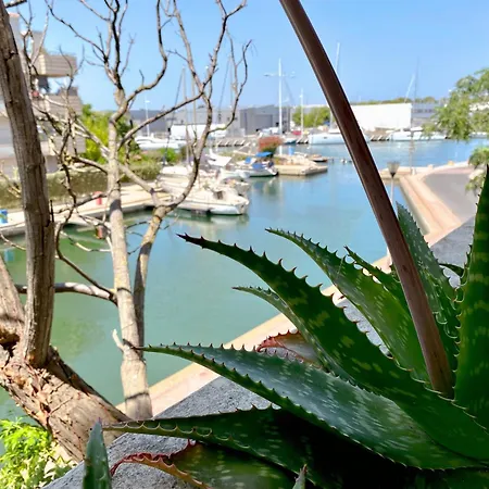 Apartament Superbe T2 Au Calme Avec Balcon Sur La Marina - 10