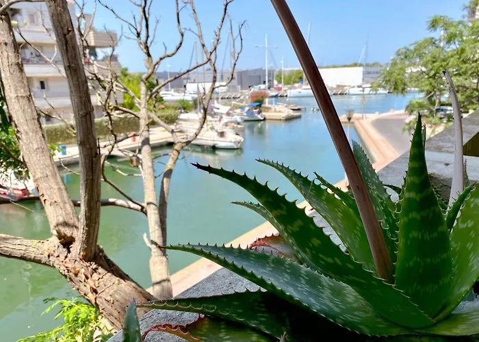 Lägenhet Superbe T2 Au Calme Avec Balcon Sur La Marina - 10